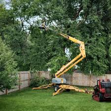 Lawn Watering Services in Thorp, WI